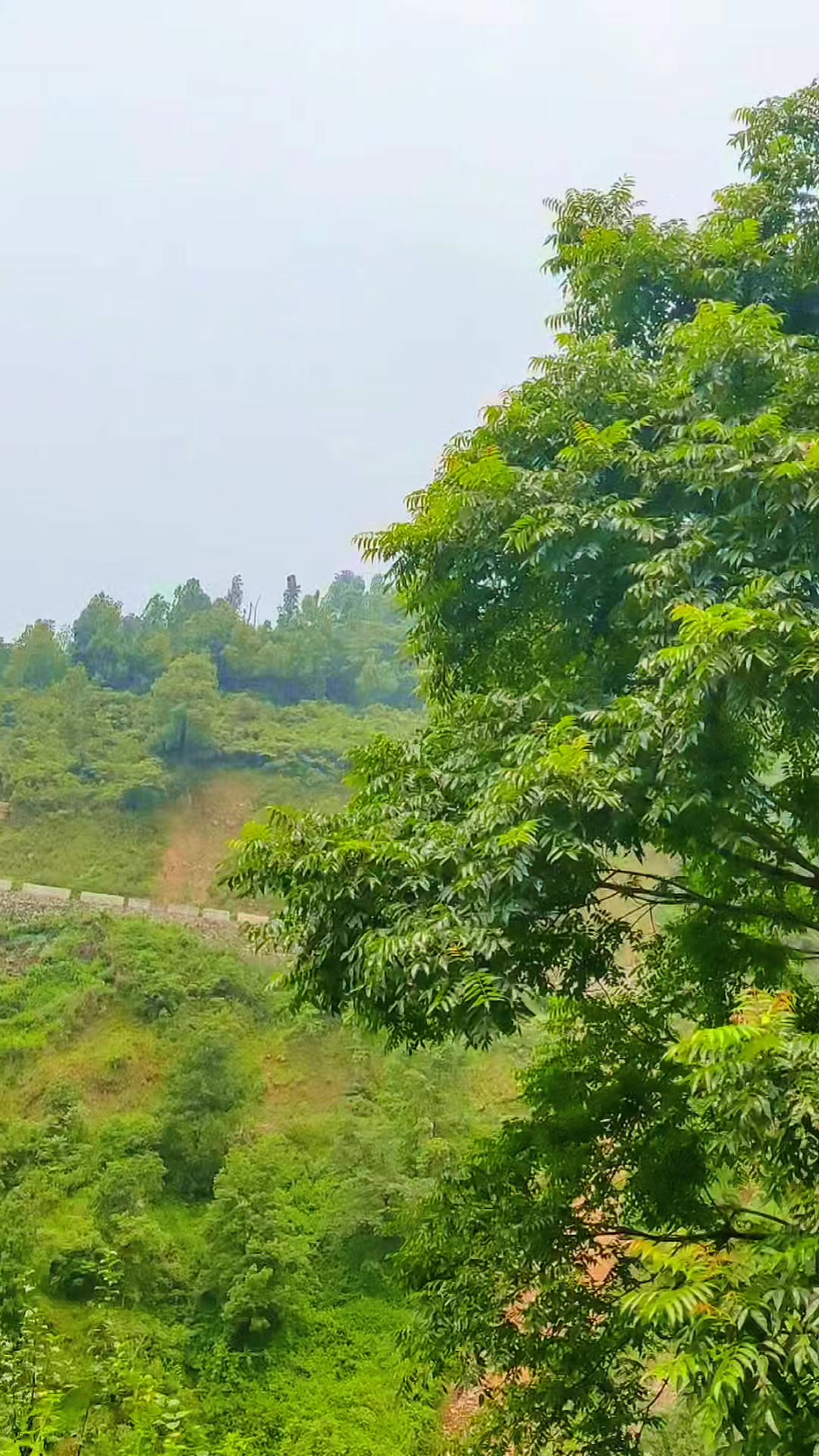@Saurab Shahi 🕉️