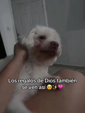 @La Nica