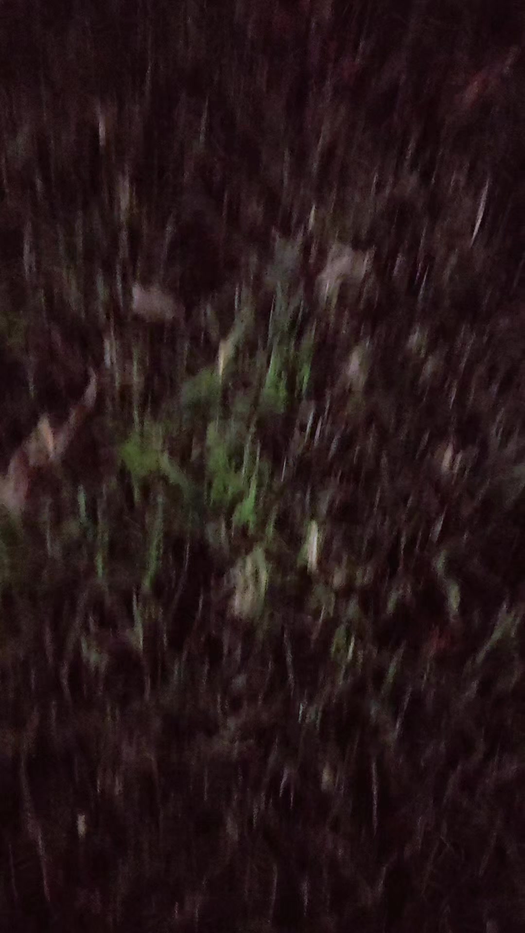 @angel🧚
