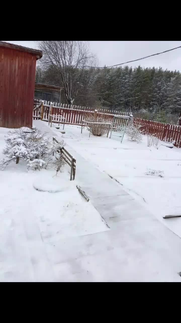 @Vladimir