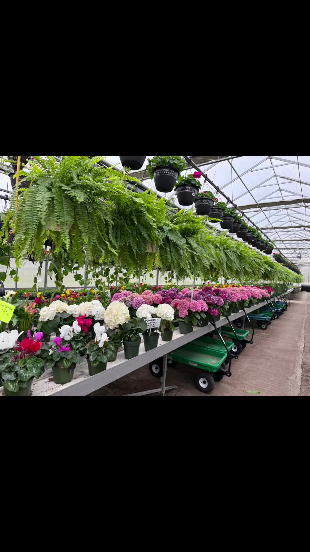 @JC Farm - Durham, CT