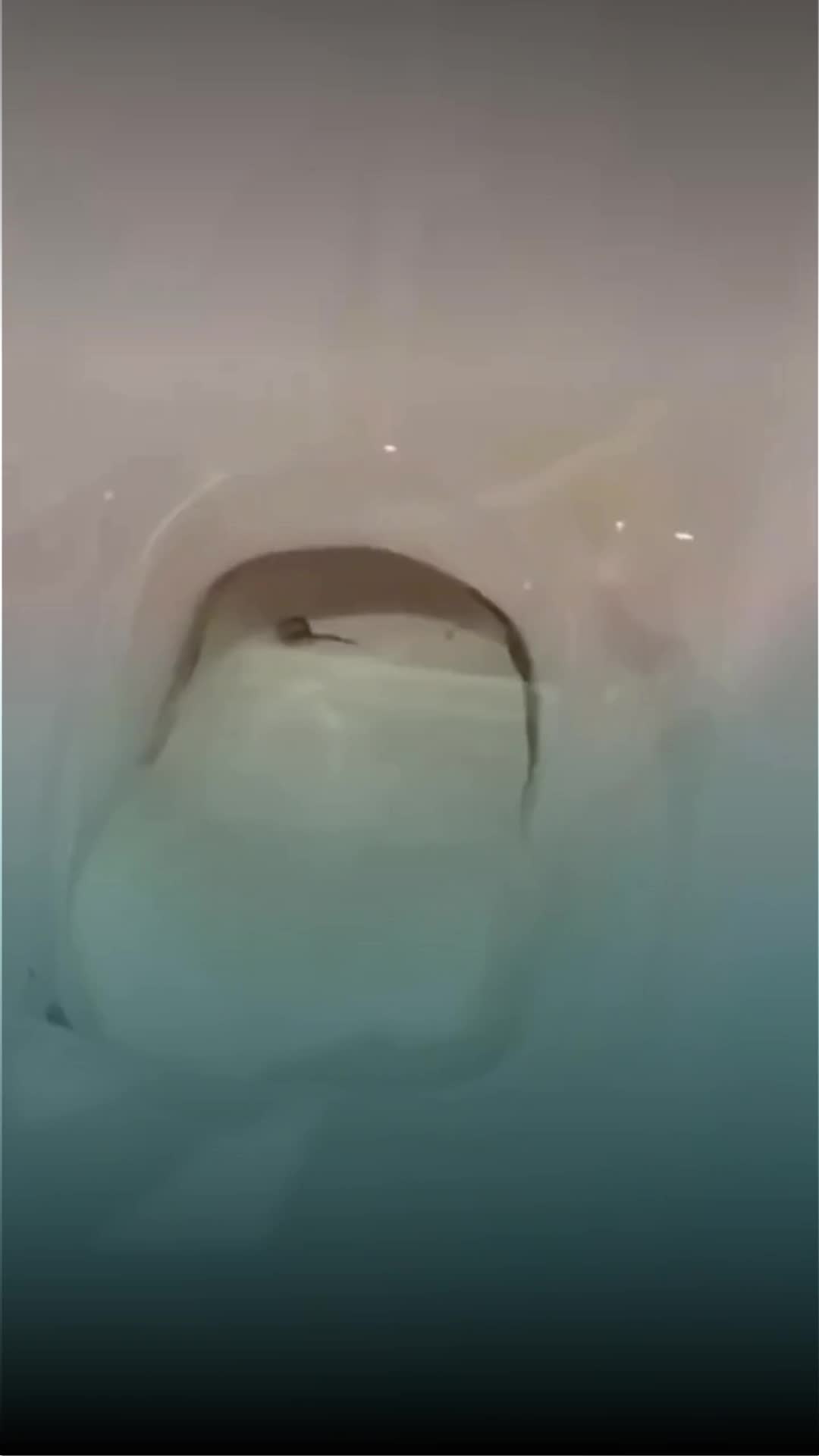 @Entre líneas