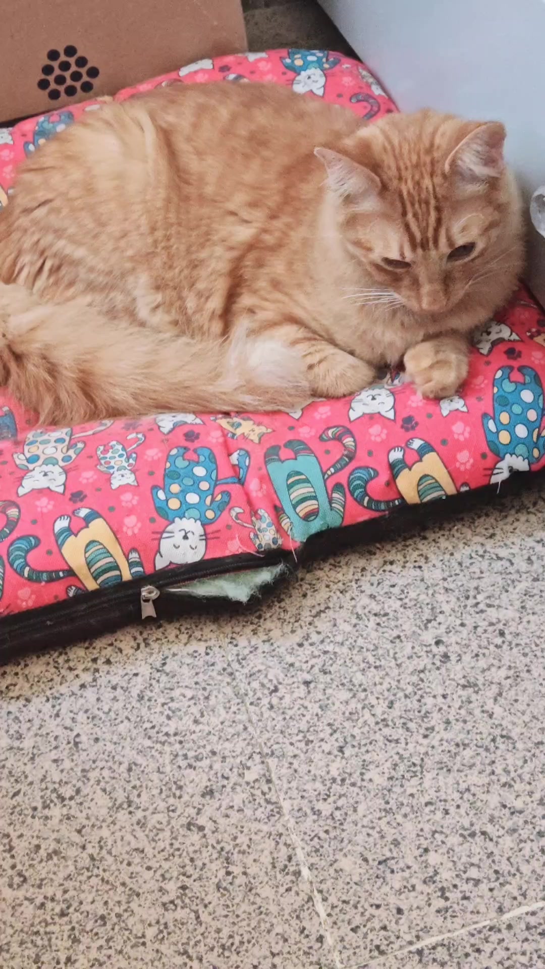 @LeztI 😻😺😽💕