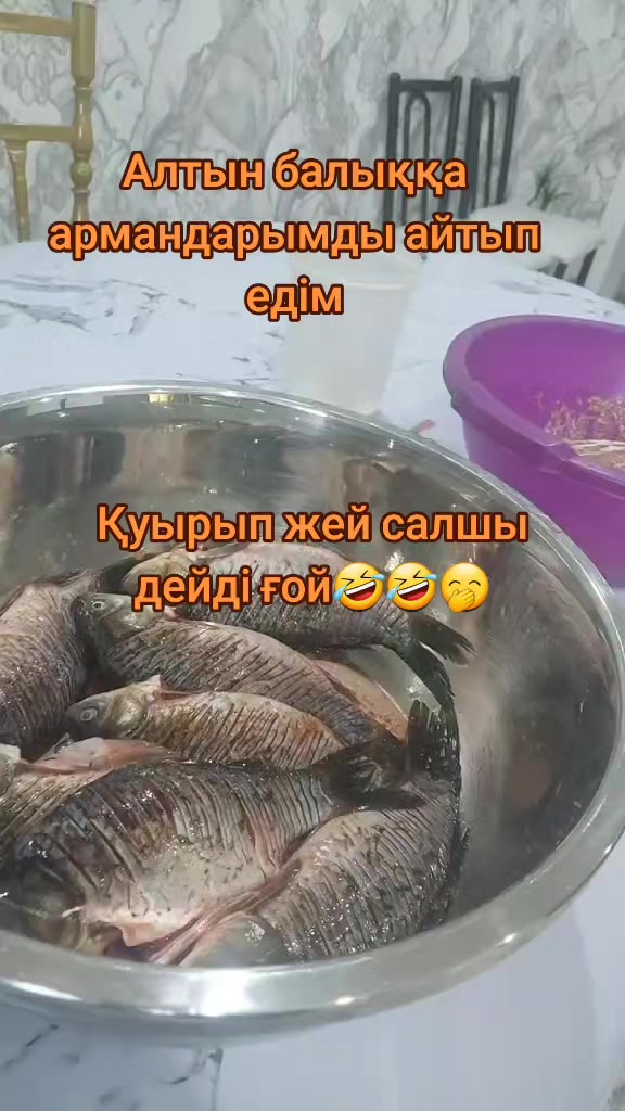 @BanuDzarekeeva