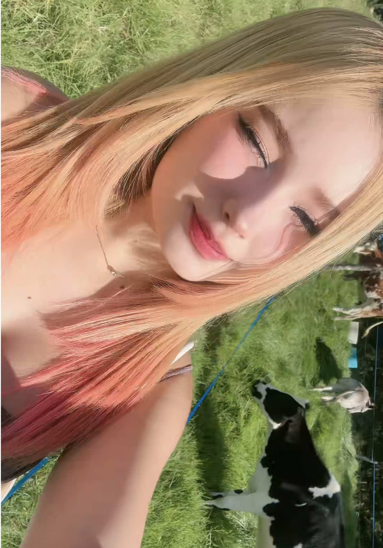 @Puki
