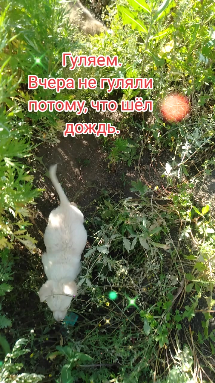 @chertkova Наталья