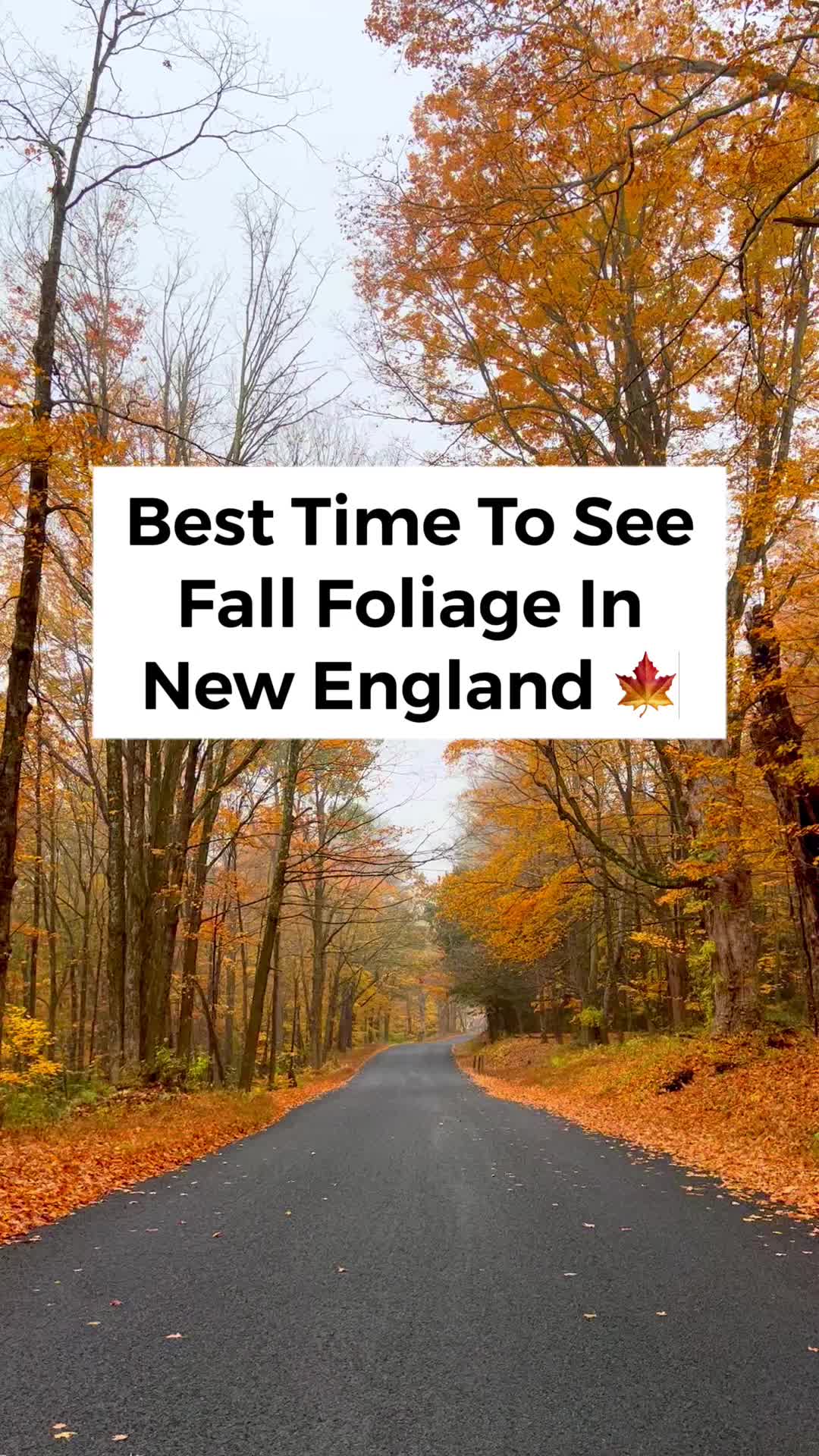 @Followmeaway