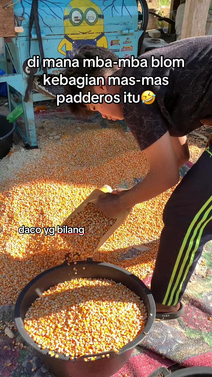 @labeccu_11