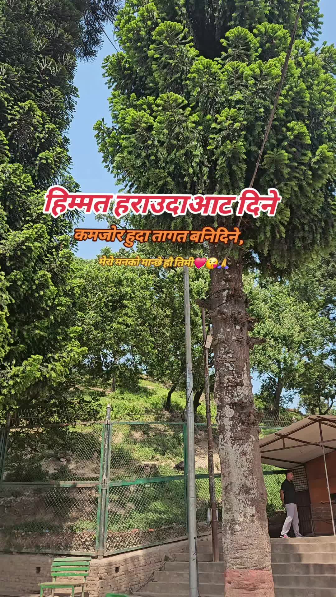 @AASHISH🤗🤗