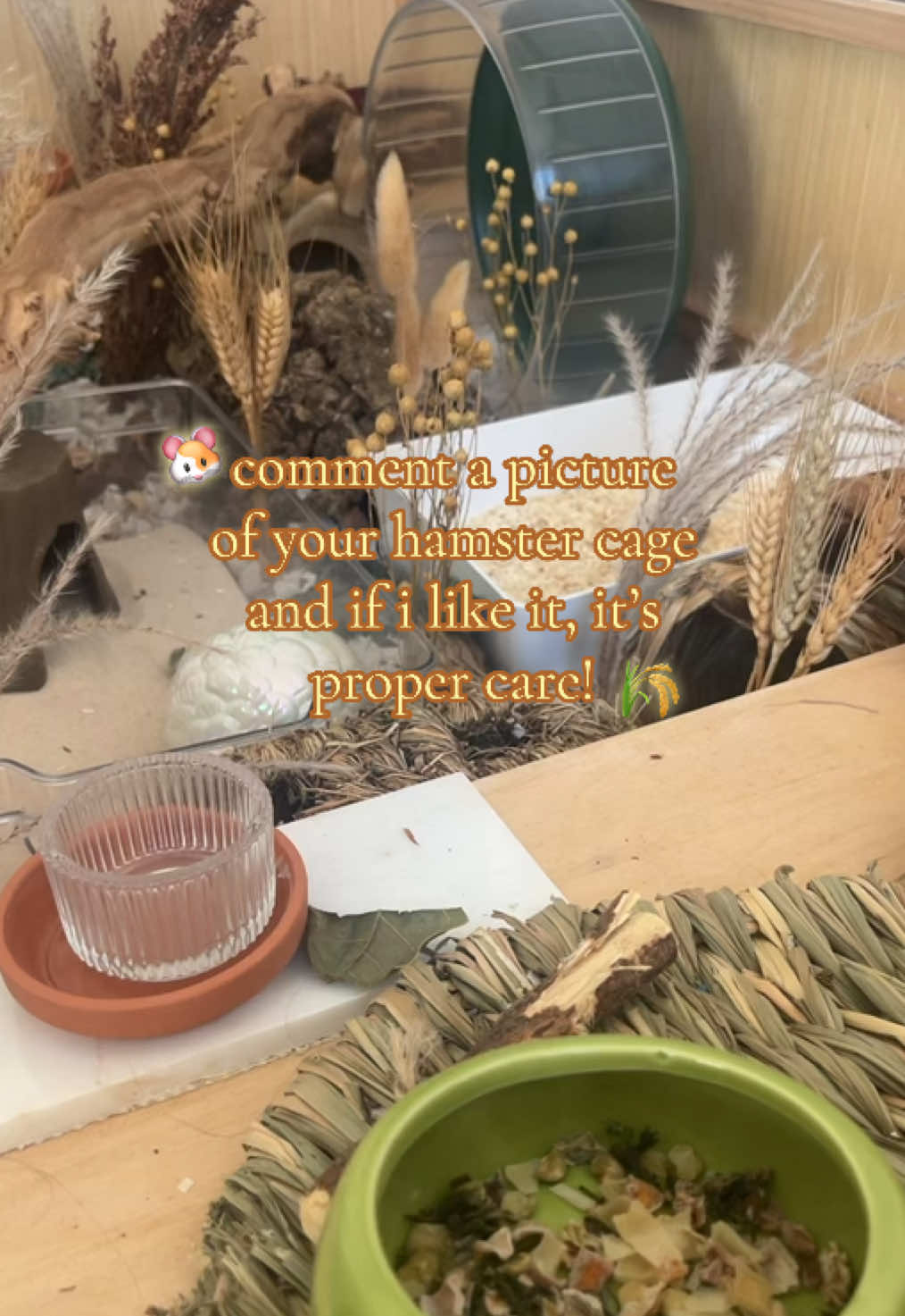 @ɪꜱʟᴀ