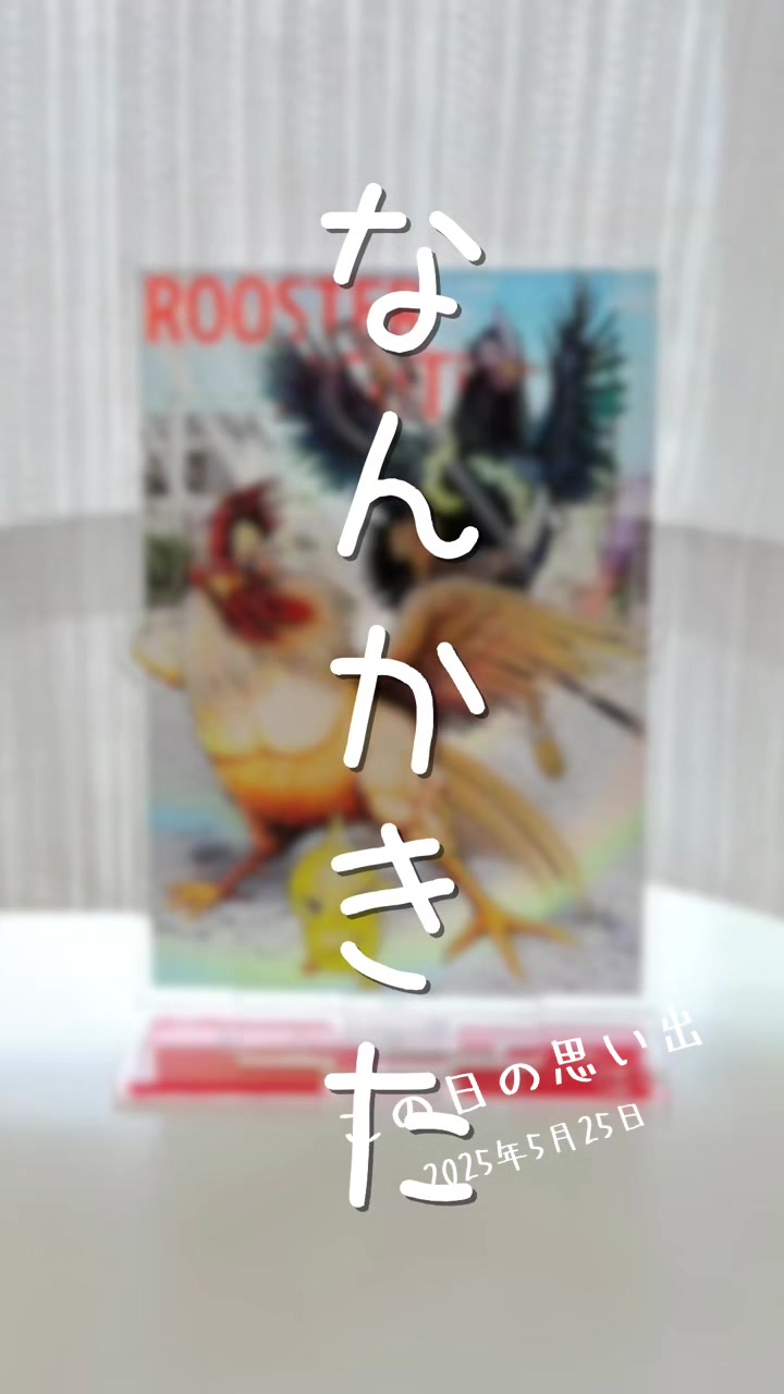 @猫写真家 森永健一