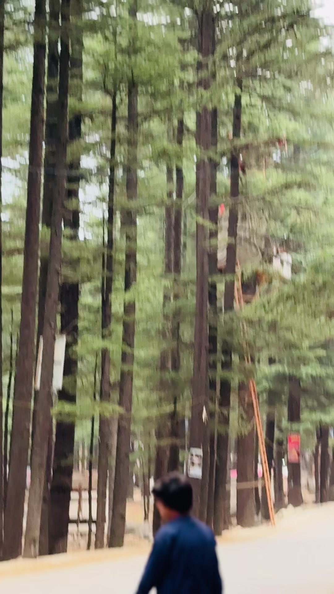 @ALoنE🍃