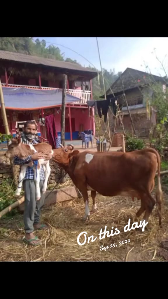 @Krishna Adhikari