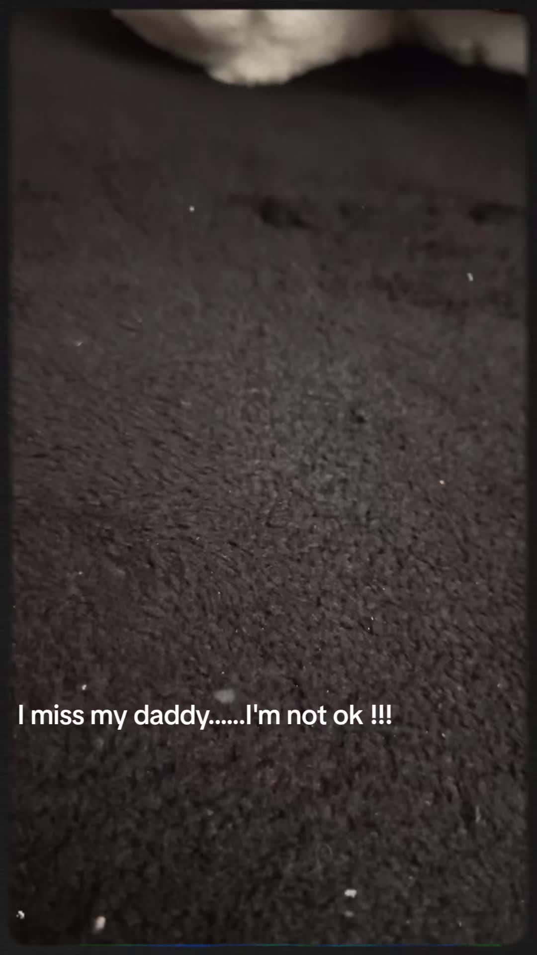@MissDee.$Wrangler$