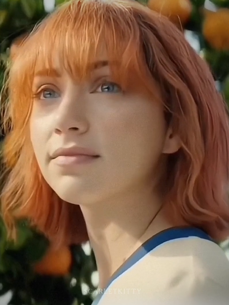 @𝐒𝐜𝐚𝐫𝐥𝐞𝐭𝐊𝐢𝐭𝐭𝐲~🍊
