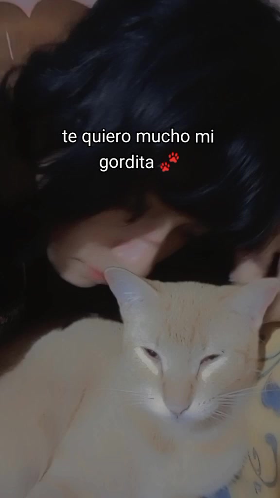 @𝙎𝙖𝙞𝙧𝙞