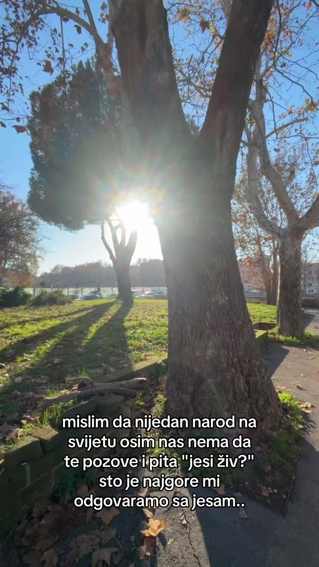 @MRroki
