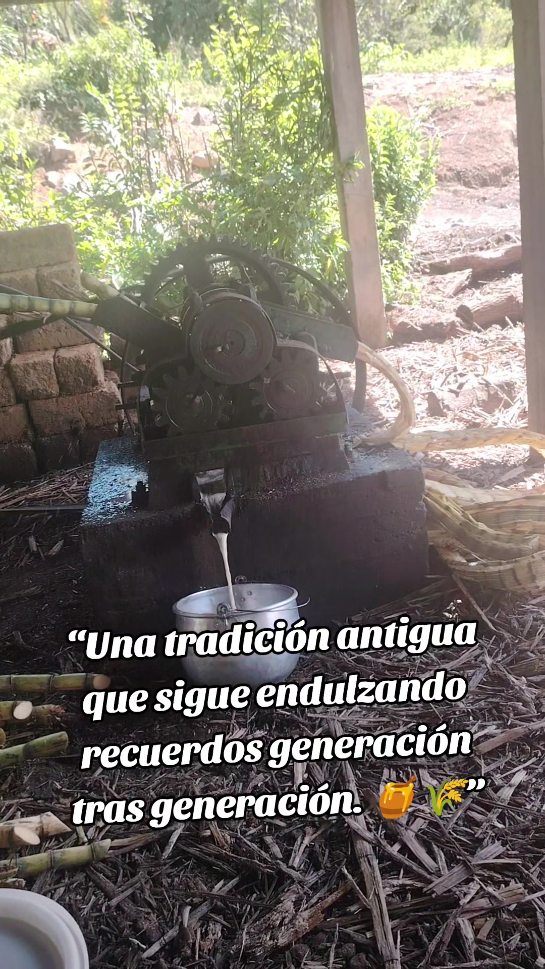 @Yuly Maldonado🍀♥️