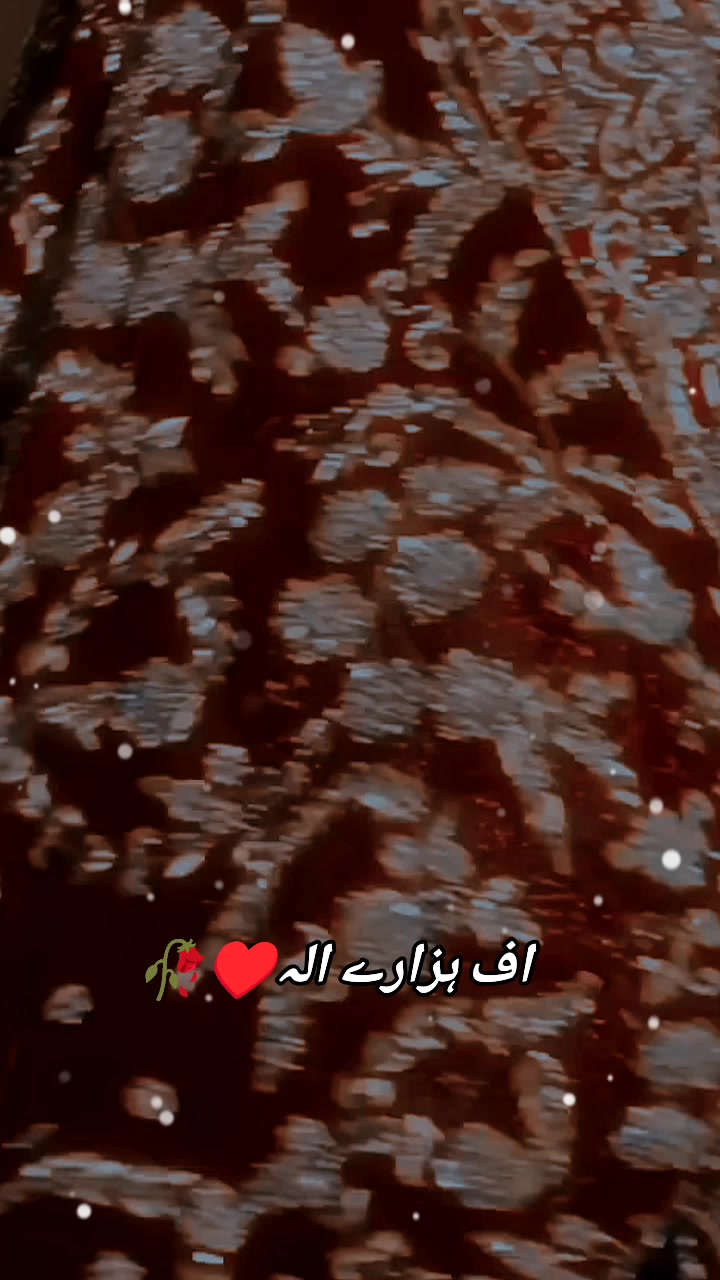 @😎*|Bilal|°|hazarvi |*🥰🥀