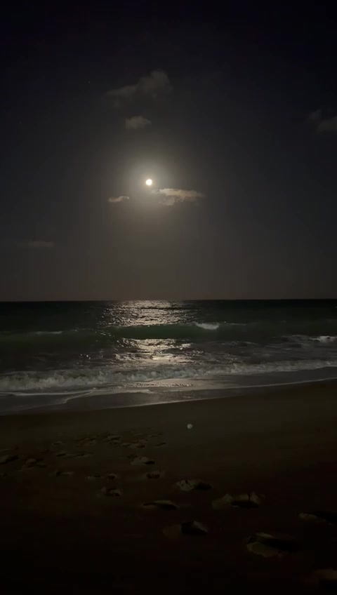 @𝗿𝗼𝗿𝗶𝗰𝗹𝗲𝘆