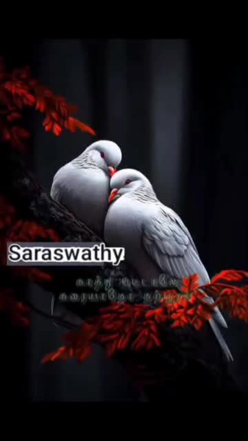 @Saraswathy k