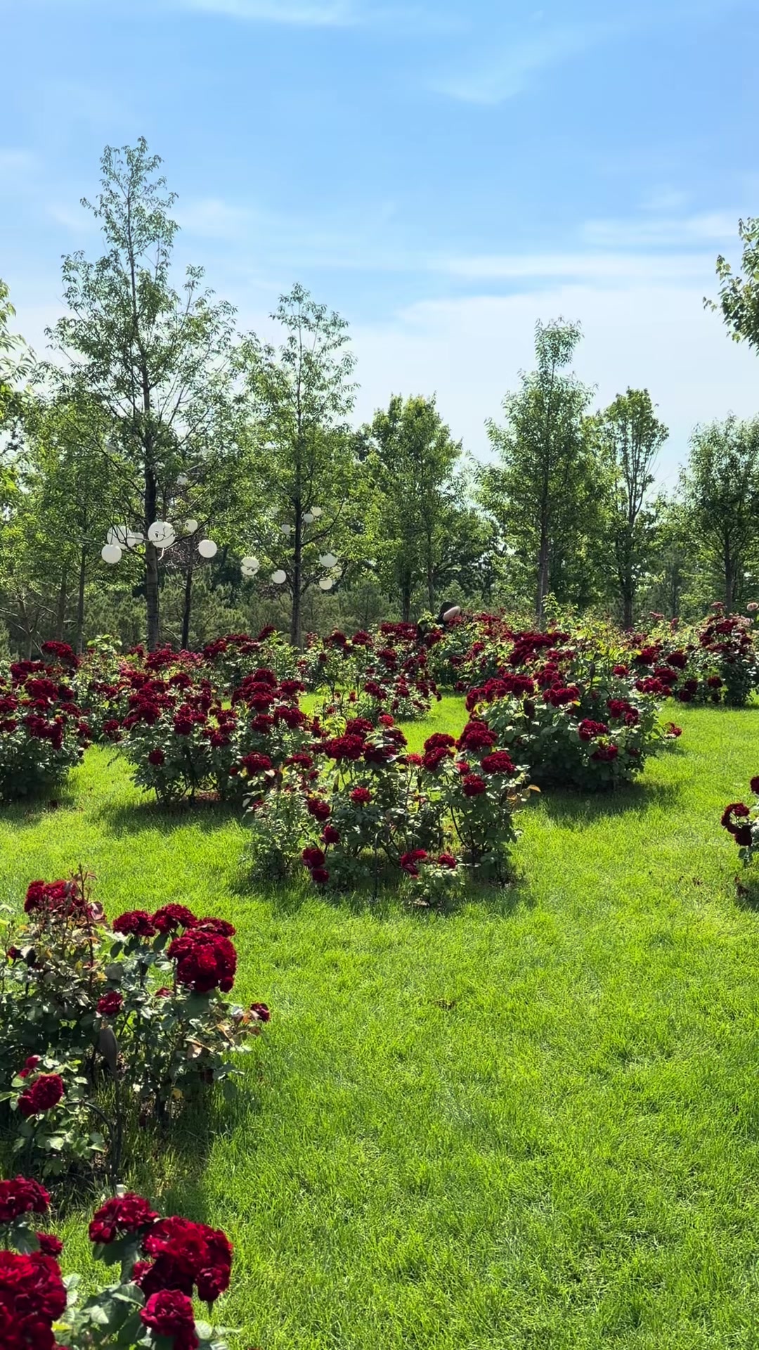 @Анна ❤️