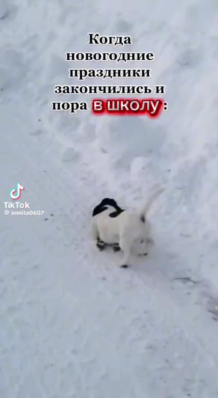 @Мария Бирюкова