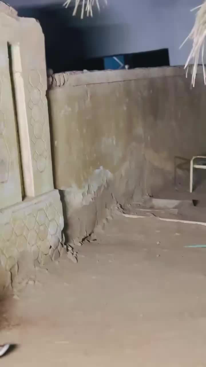 @ود الريس 🪶
