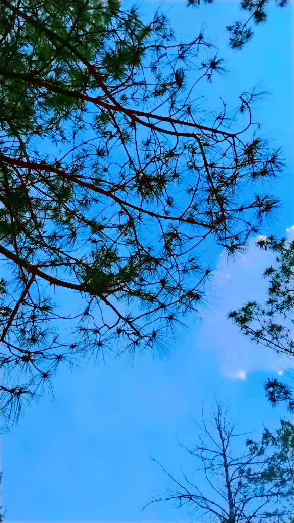 @प्यारो मान्छे