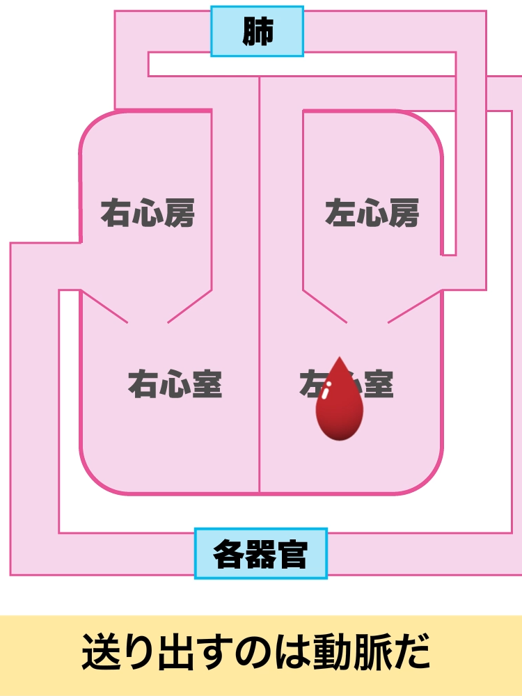 @個別指導塾L@愛知県豊橋市