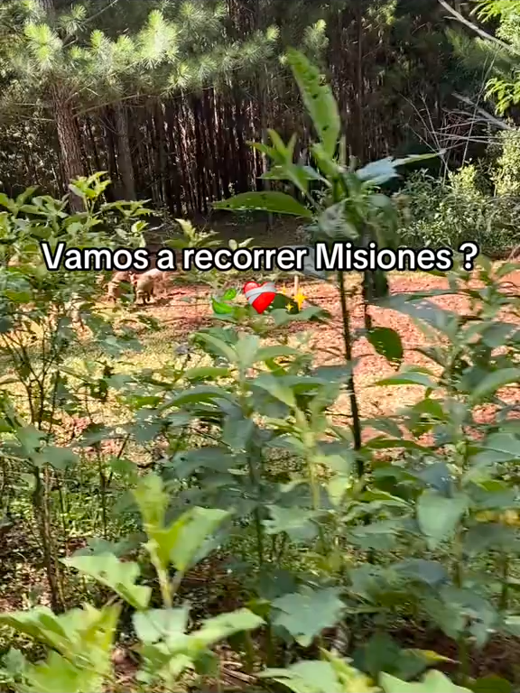 @Misiones Nuestro Lugar