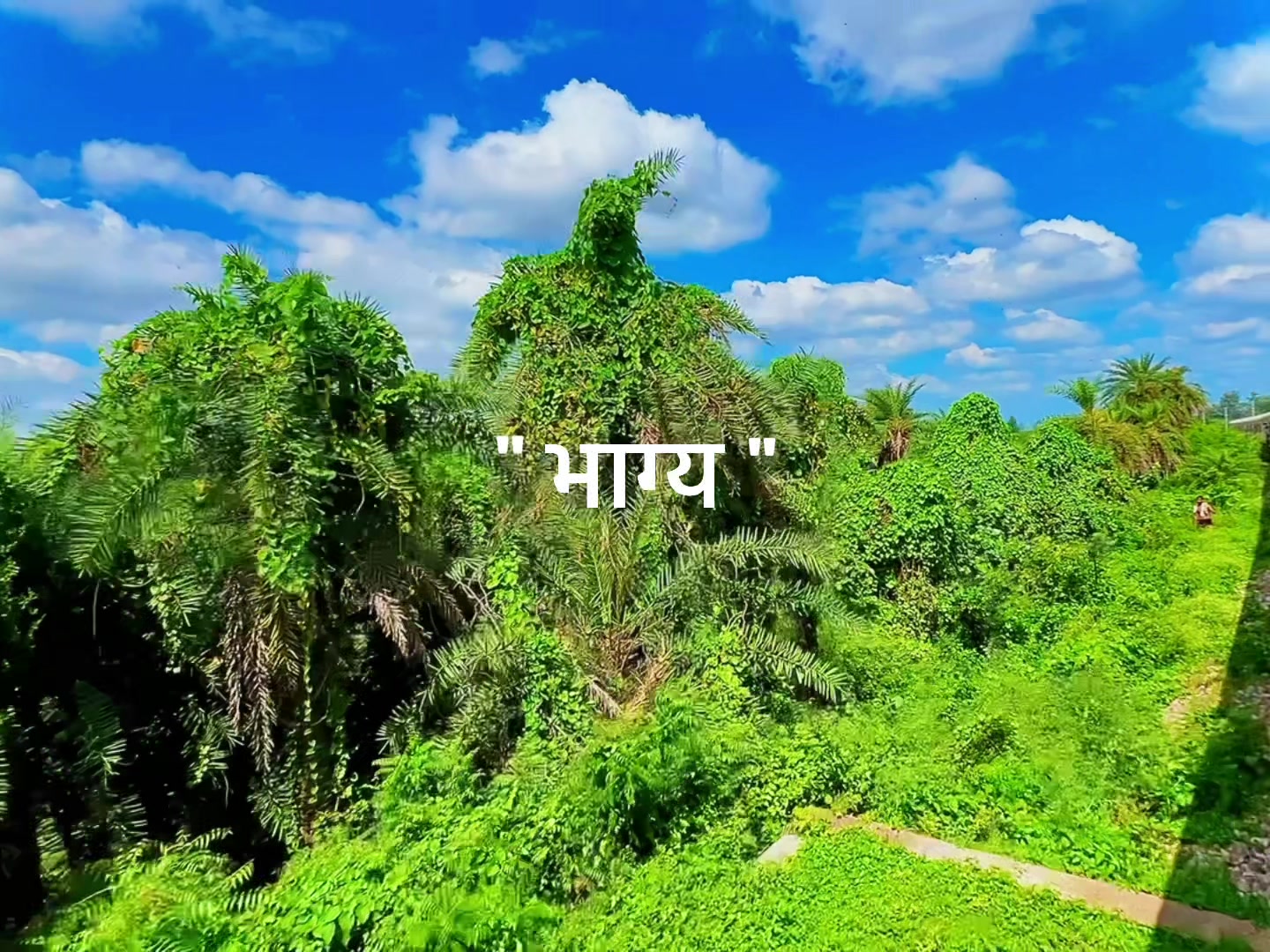 @Deepanshu singh916