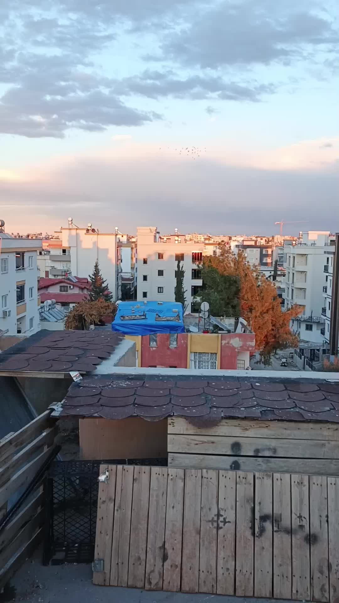 @Onur.33
