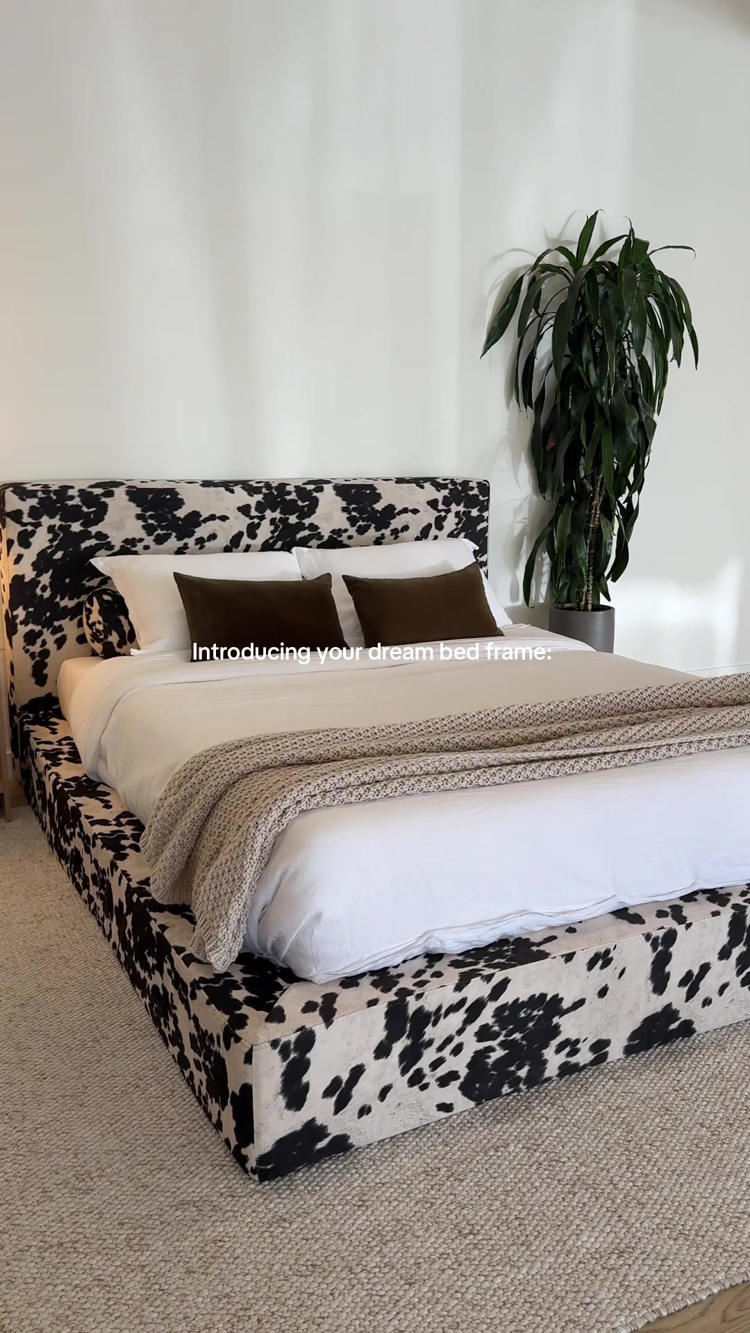 @SoftFrame Designs