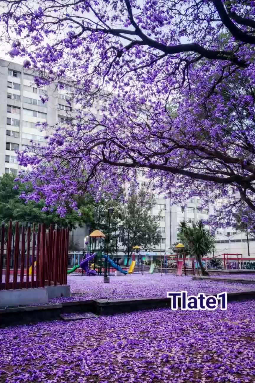 @▀▄ Ր૦८қ ֆ੮૯คძע 🎷♬🏁