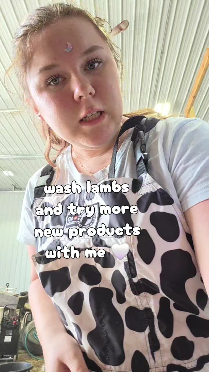 @nat shows🐑🐏🐄🐖
