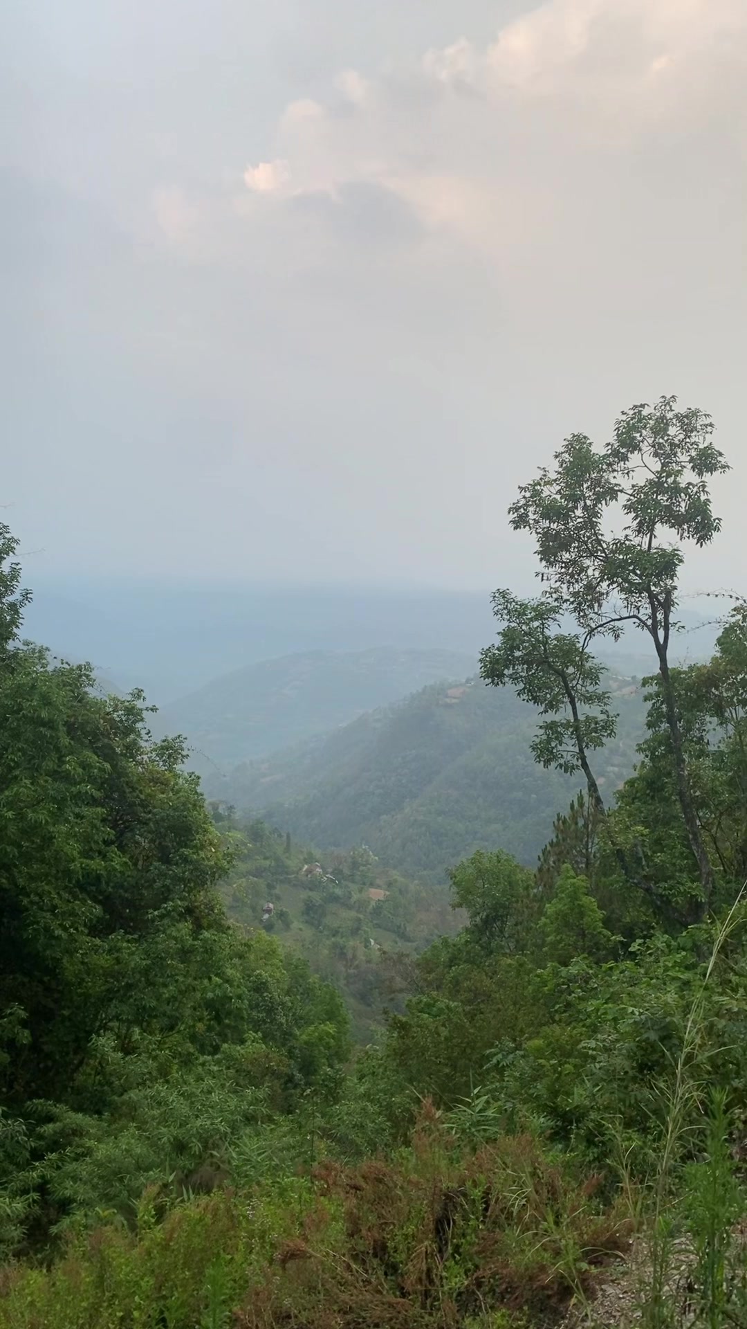 @थानेश्वर ज्ञवाली