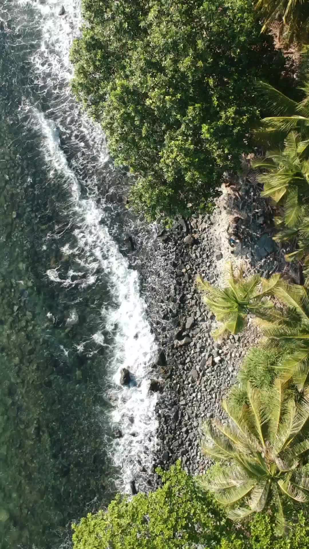 @lemukutan_island