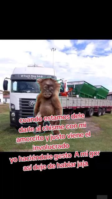 @miru