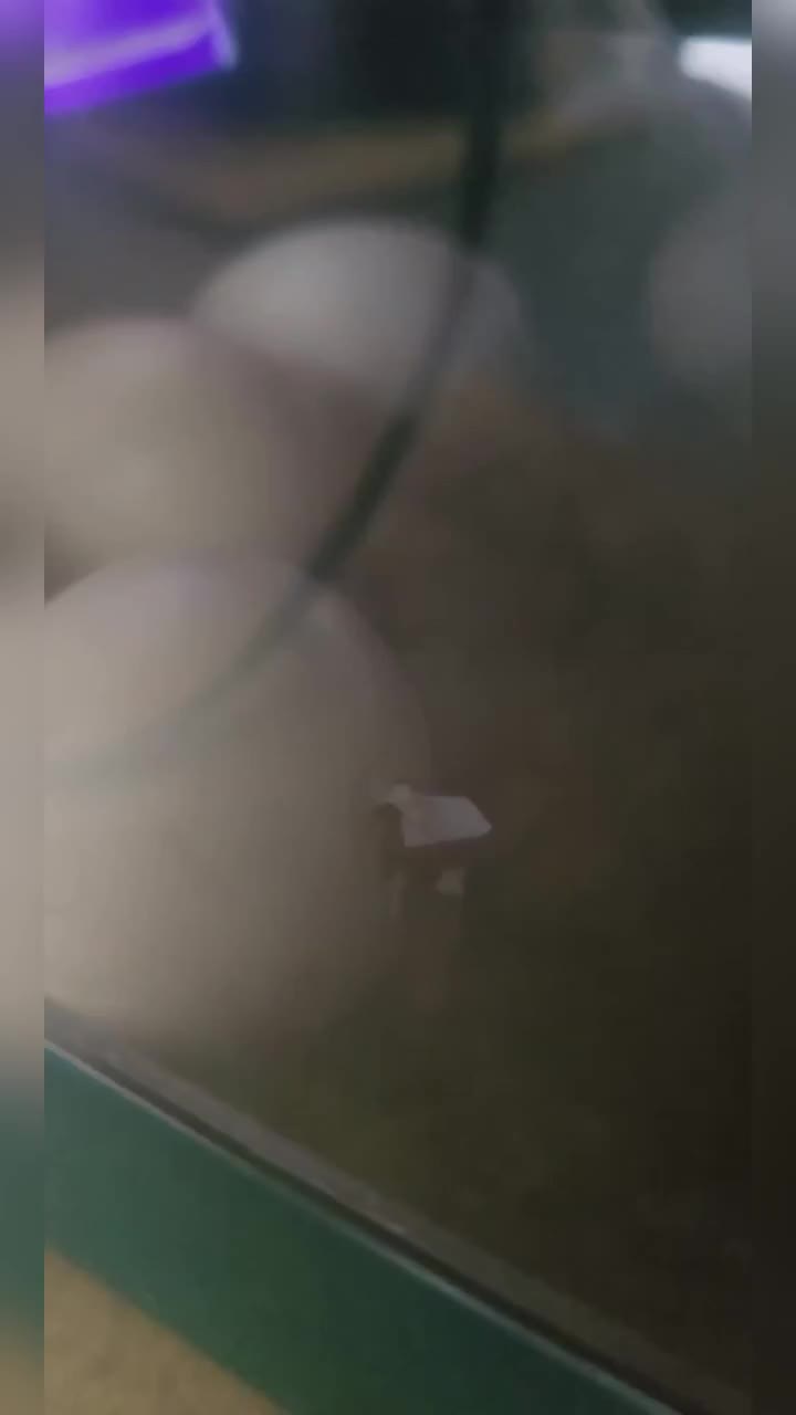 @Cyndeerella🇦🇺