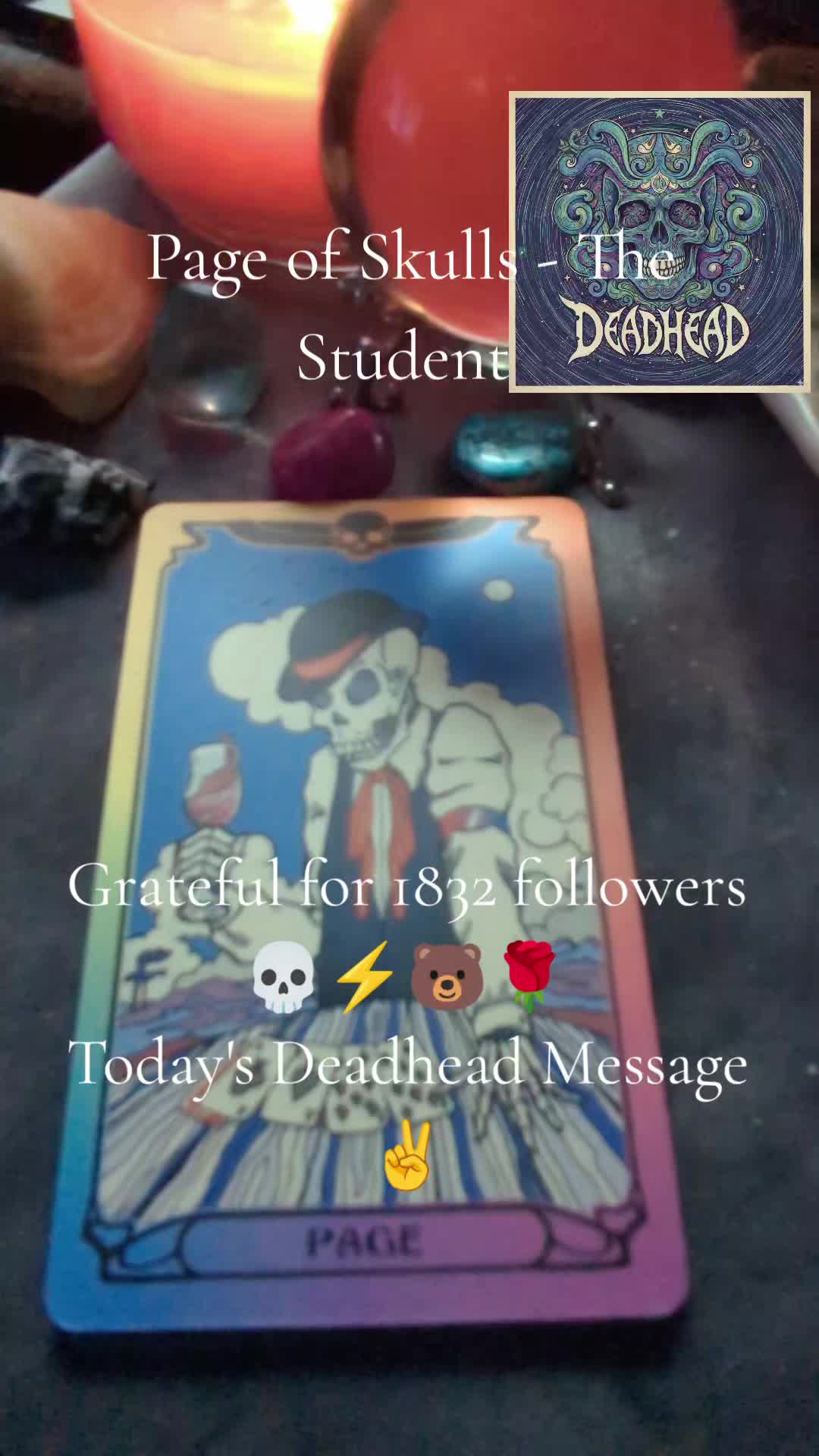 @Deadhead Tarot ✨✌️✌️