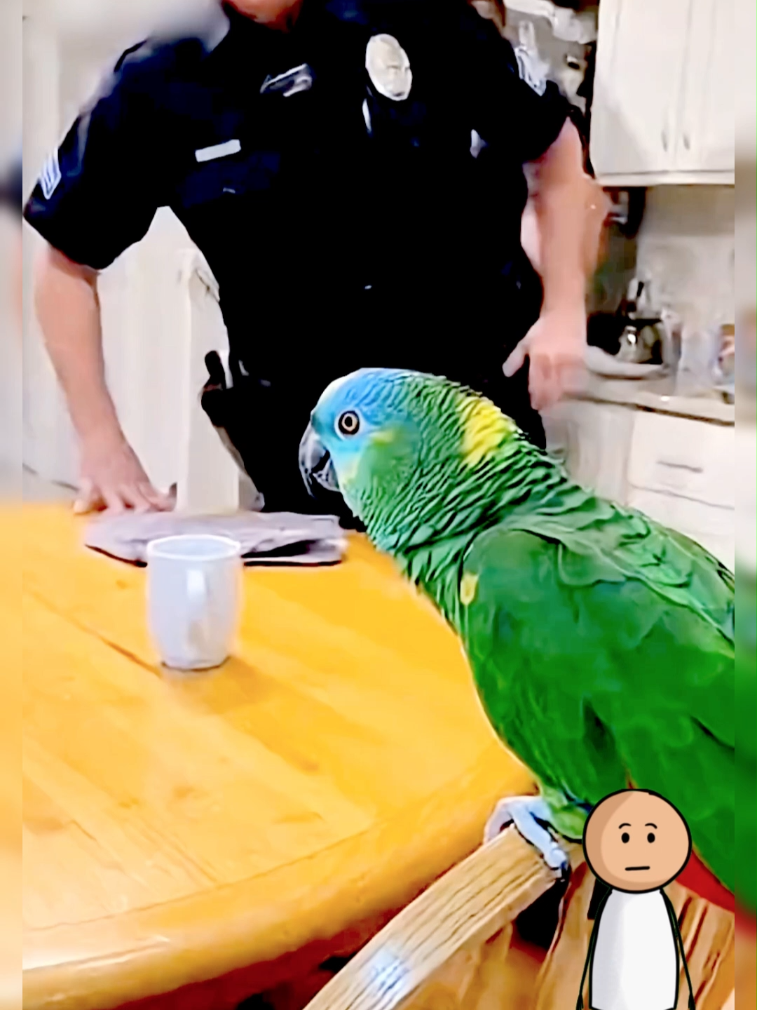 @Funny Animal Voiceover