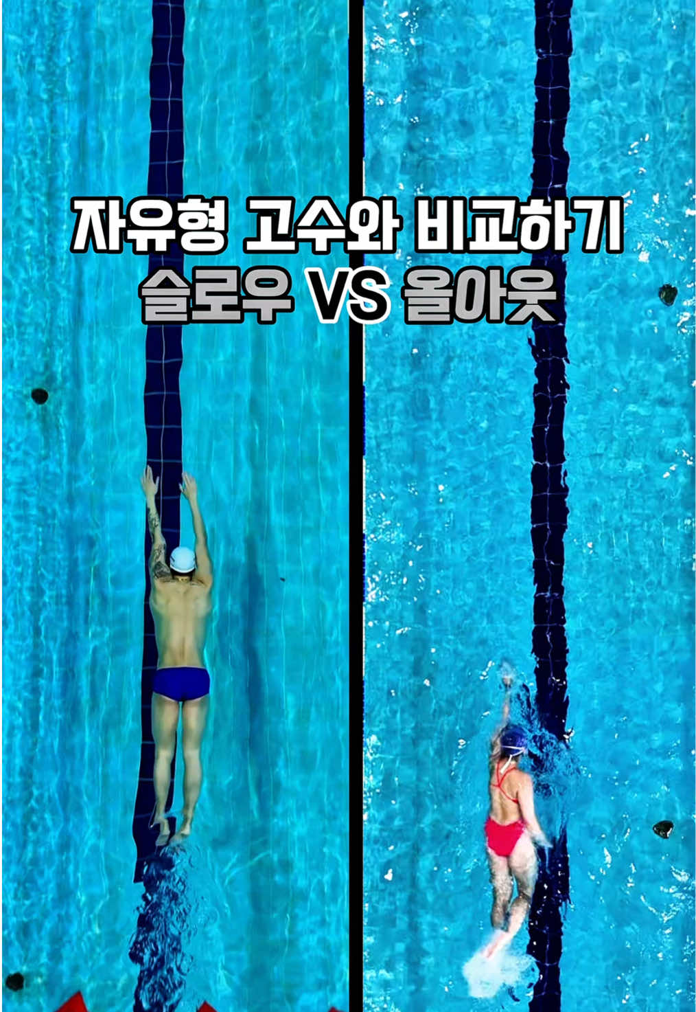 @스위머바니 swimmer banny