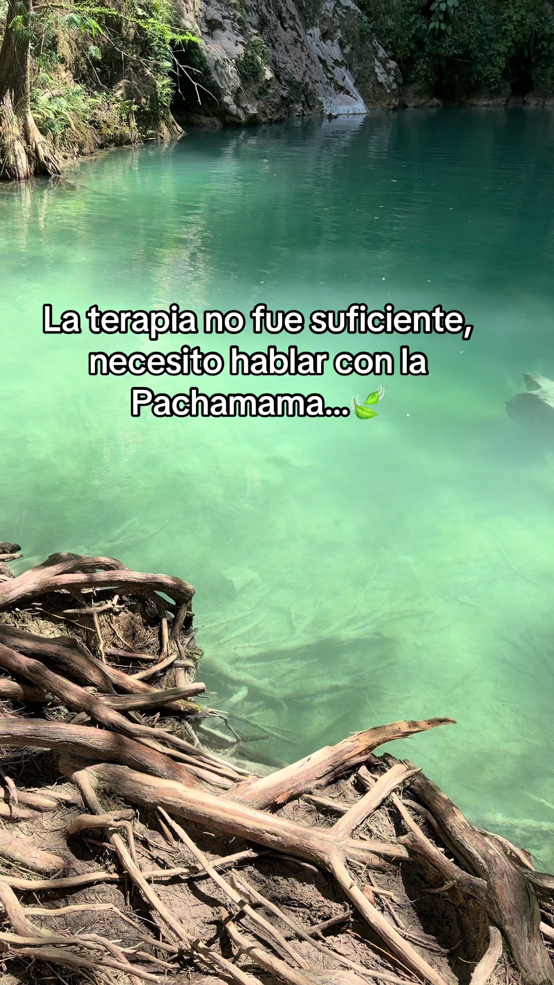 @Zulema AlMa