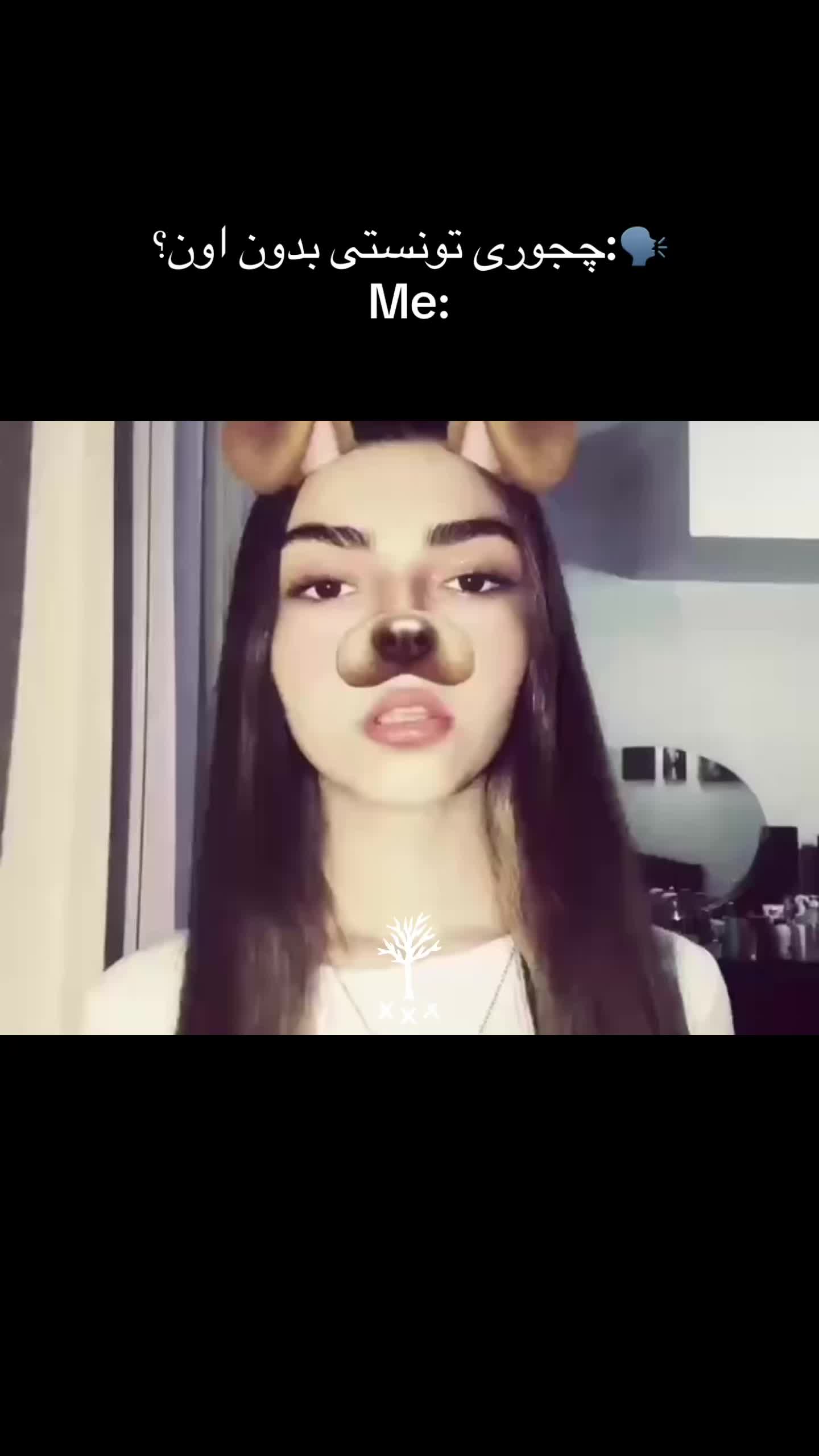 @_1xbunny