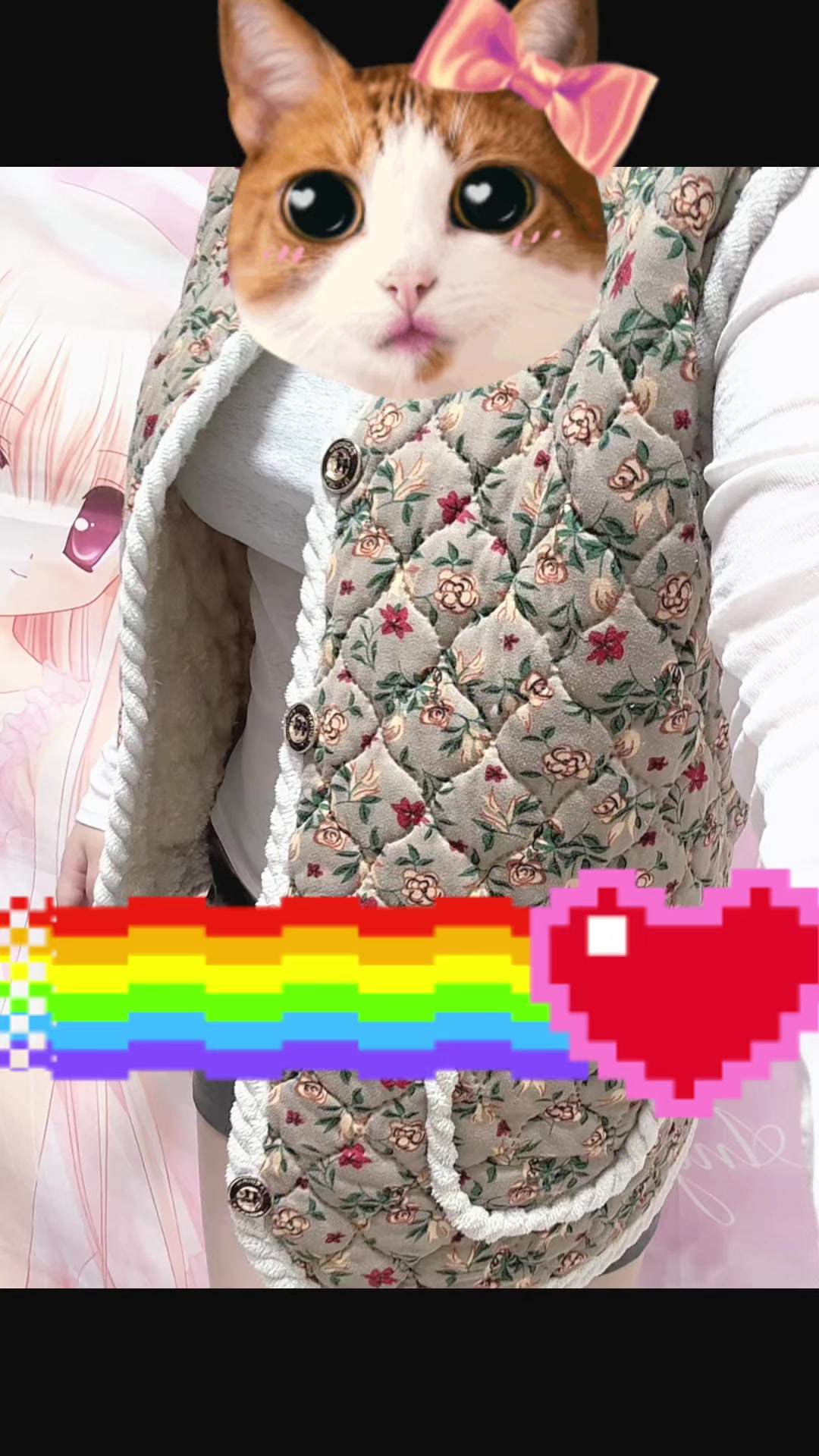 @Zz Dd