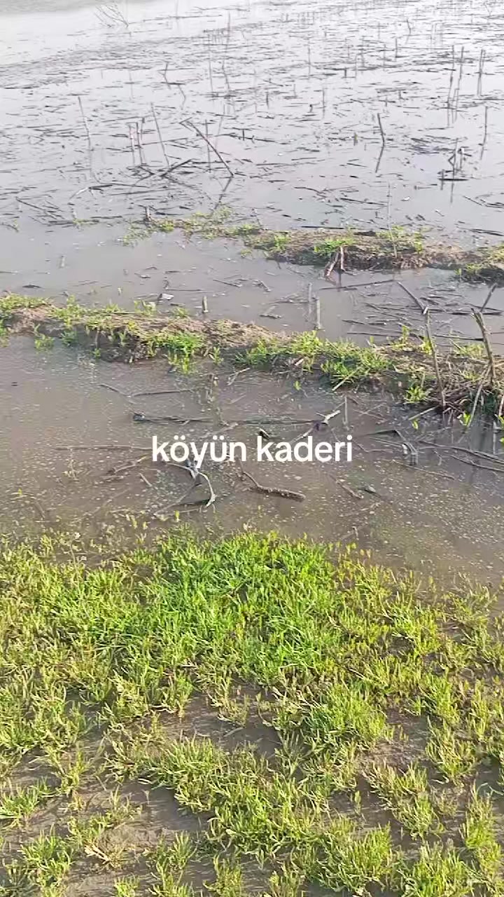 @İlyas. silvanli. 21.72