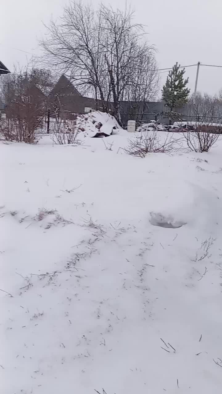 @Ольга