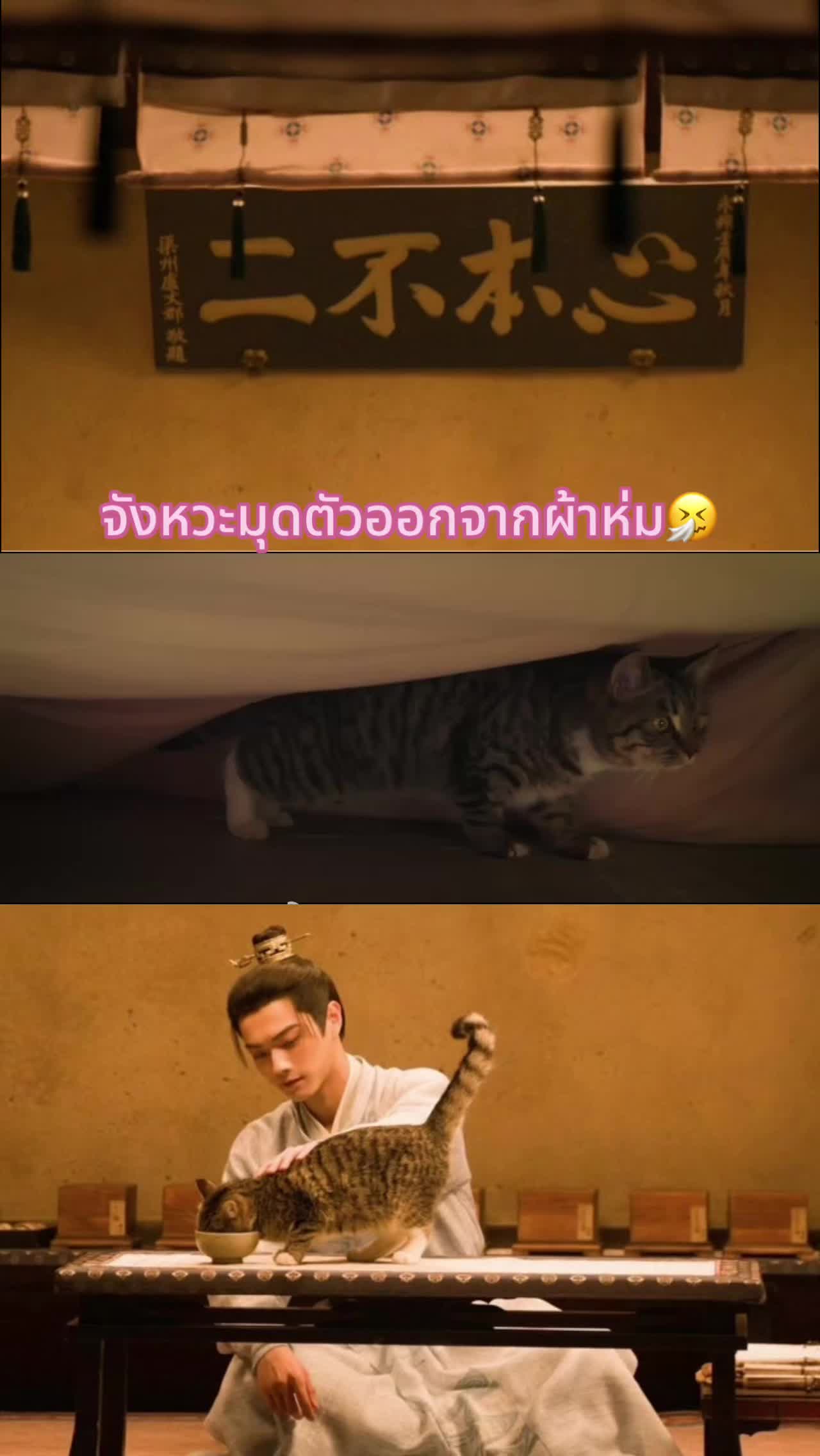 @หวีดซีรี่ส์สวีข่าย