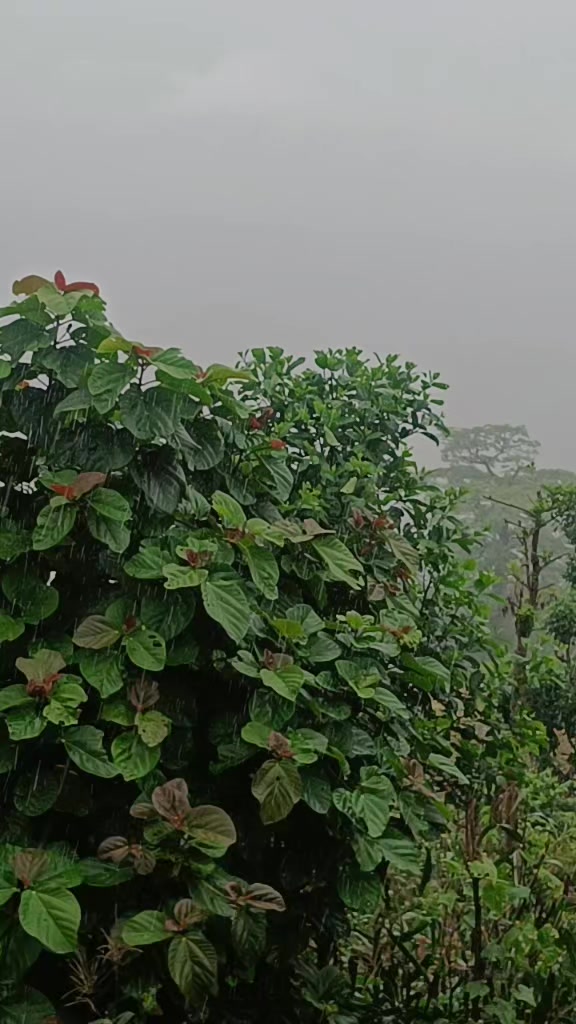 @Hari Adhikari